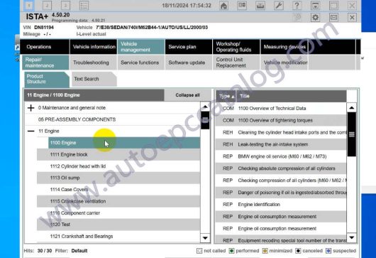 Rheingold ISTA+ 4.50.20 (6)