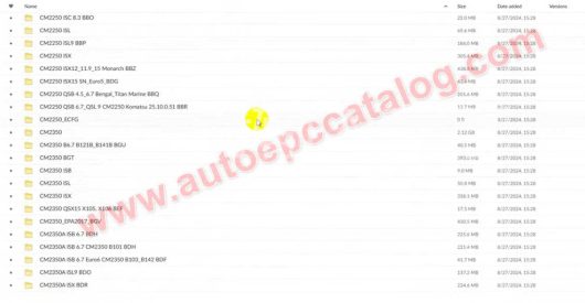 Cummings METAFILES ECFG E2M SCREEN CBF Config & Delete FILES 2022 (4)